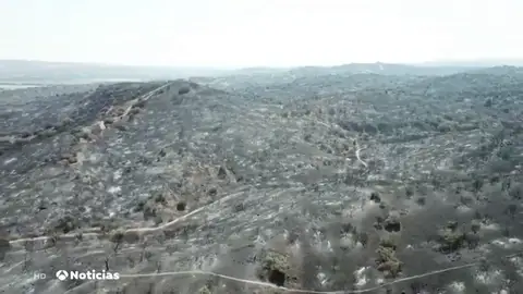 Incendio en Toledo Incendio en Toledo