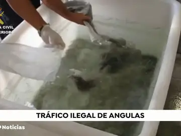 NUEVA ANGULAS NUEVA ANGULAS