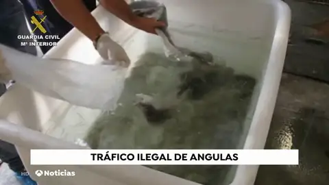 NUEVA ANGULAS NUEVA ANGULAS