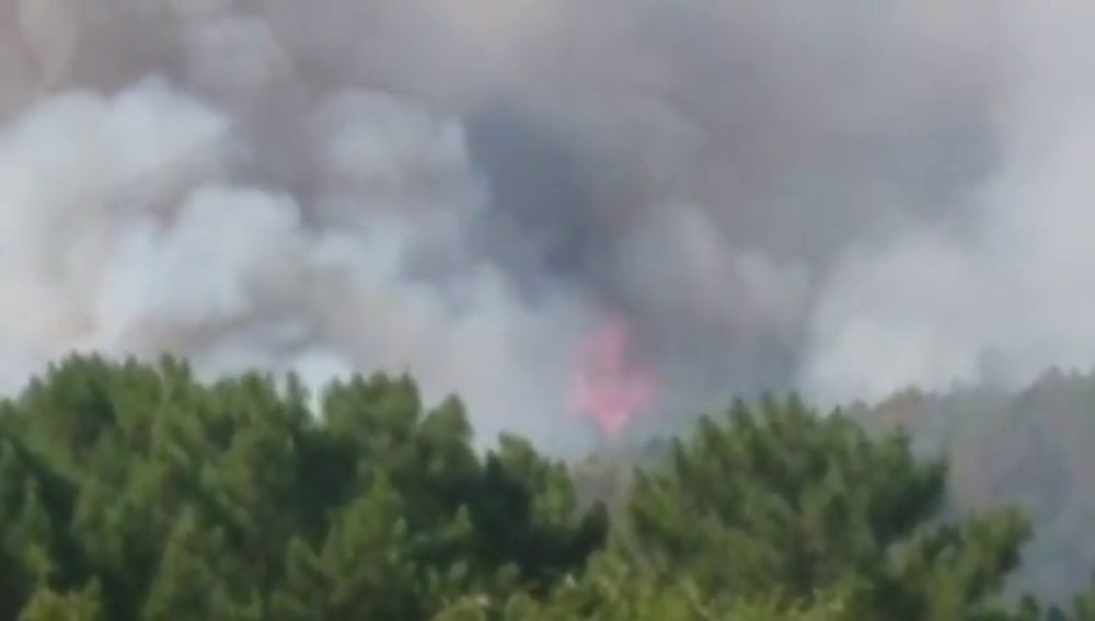 Más de 30 hectáreas afectadas por un incendio forestal en Ávila
