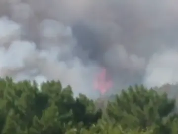Más de 30 hectáreas afectadas por un incendio forestal en Ávila Más de 30 hectáreas afectadas por un incendio forestal en Ávila
