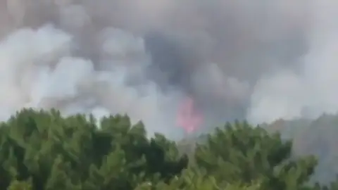 Más de 30 hectáreas afectadas por un incendio forestal en Ávila Más de 30 hectáreas afectadas por un incendio forestal en Ávila