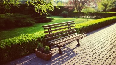 Un joven viola a una mujer de 59 años en un parque público y la felicita por 