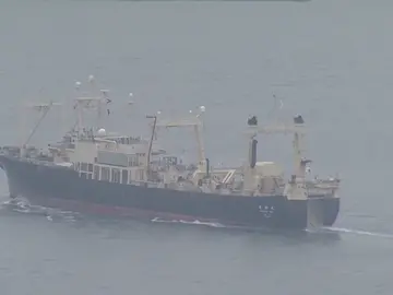 Japón anuncia la captura comercial de ballenas por primera vez en décadas Japón anuncia la captura comercial de ballenas por primera vez en décadas