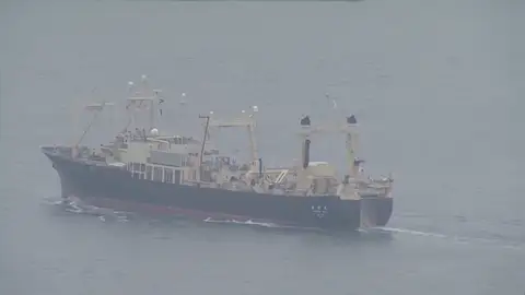Japón anuncia la captura comercial de ballenas por primera vez en décadas Japón anuncia la captura comercial de ballenas por primera vez en décadas