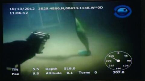 Un calamar gigante ataca a una c&aacute;mara a 500 metros de profundidad en la isla de El Hierro