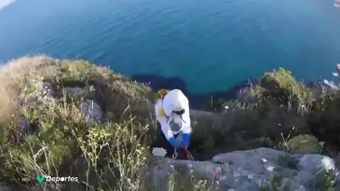 avispas-rescate avispas-rescate