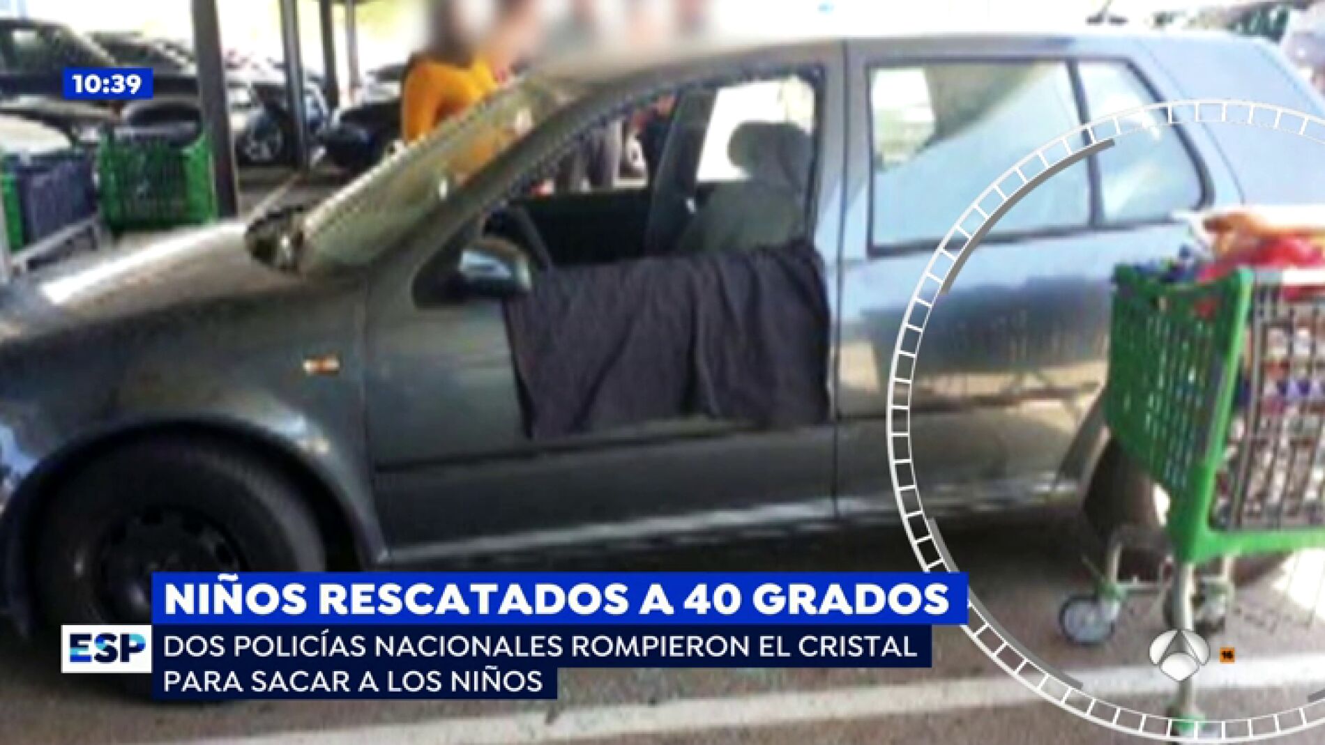 Beb&eacute;s rescatados en Menorca