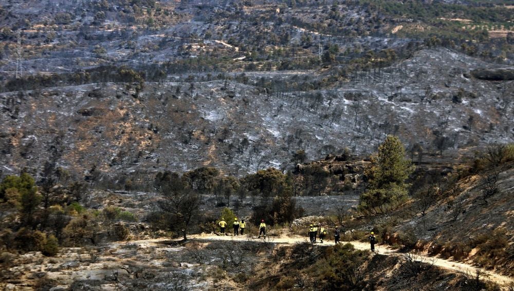 Bomberos en la zona afectada por el incendio de la Ribera d'Ebre