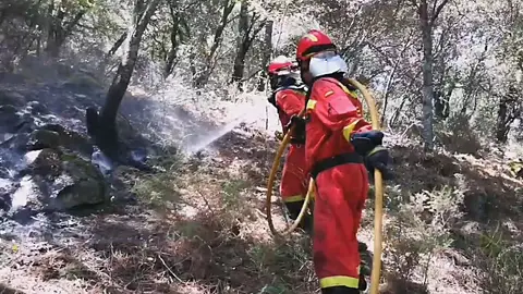 Las labores de extinción del incendio que se propaga por las localidades madrileñas de Cadalso de los Vidrios y Cenicientos Las labores de extinción del incendio que se propaga por las localidades madrileñas de Cadalso de los Vidrios y Cenicientos