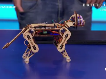 Revive la ciencia completa de Toni Acosta y Santiago Segura en ‘El Hormiguero 3.0’. Revive la ciencia completa de Toni Acosta y Santiago Segura en ‘El Hormiguero 3.0’.