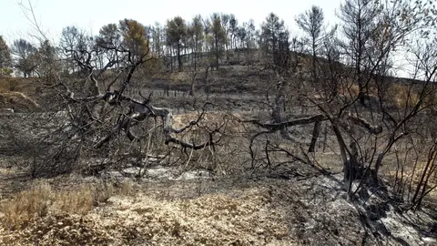 Un vecino observa los daños de una construcción en el término municipal de Cadalso de los Vidrios Un vecino observa los daños de una construcción en el término municipal de Cadalso de los Vidrios