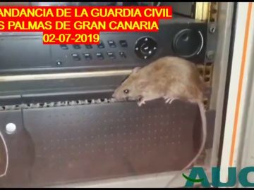 La Guardia Civil denuncia sus condiciones de trabajo en el cuartel de Gran Canaria