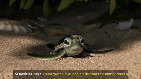 CORTO OK CORTO OK