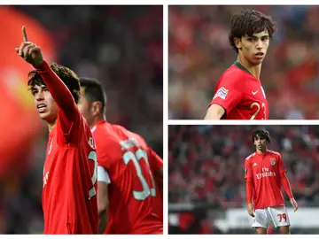 Joao Félix con el Benfica y Portugal Joao Félix con el Benfica y Portugal