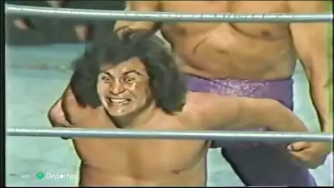 Muere el mítico luchador mexicano, Perro Aguayo Muere el mítico luchador mexicano, Perro Aguayo