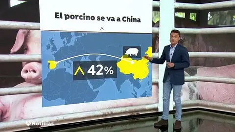 Se dispara la exportación de cerdo a China Se dispara la exportación de cerdo a China