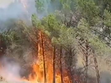 Incendio en El Picazo, Cuenca