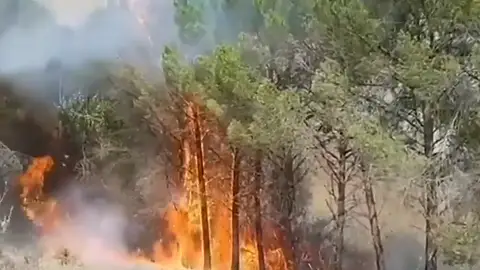 Incendio en El Picazo, Cuenca Incendio en El Picazo, Cuenca