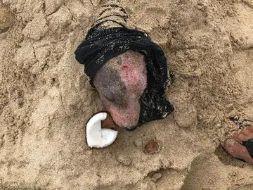 Así fue encontrada la perrita Así fue encontrada la perrita