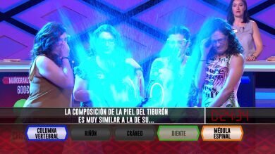 ¿De qué se compone la piel de un tiburón? Descúbrelo en ‘¡Boom!’