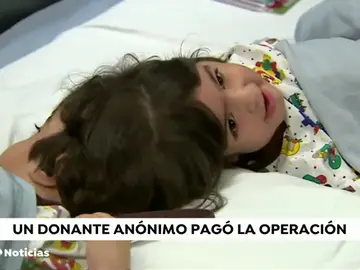 NUEVA SIAMESAS NUEVA SIAMESAS