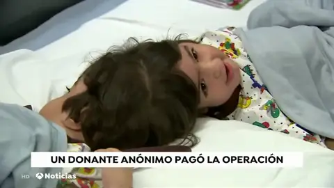 NUEVA SIAMESAS NUEVA SIAMESAS
