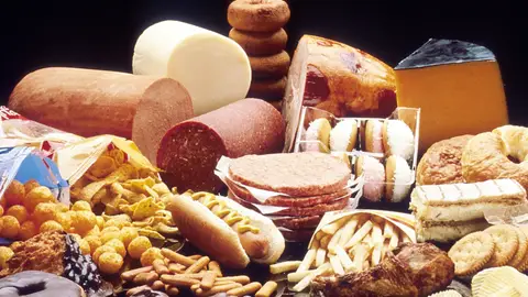 Comidas con grasa Nova Life