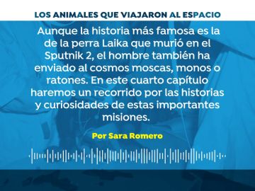 PODCAST 4/3 Los animales que viajaron al espacio para preparar las misiones