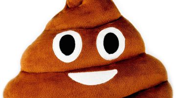 Cojín emoji mierda sonriente
