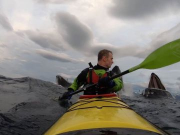 Ballenas sorprenden a kayakista Ballenas sorprenden a kayakista