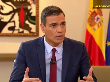 Pedro Sánchez: "No me puedo permitir el lujo de un vicepresidente que hable de presos políticos" Pedro Sánchez: "No me puedo permitir el lujo de un vicepresidente que hable de presos políticos"