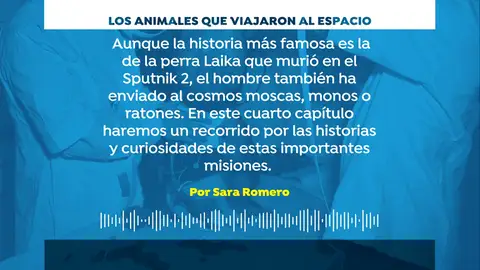Los animales que viajaron al espacio para preparar las misiones Los animales que viajaron al espacio para preparar las misiones