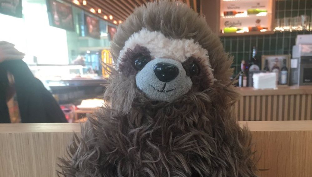 Bescansa busca a los dueños de este peluche