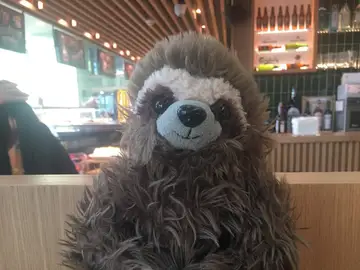 Bescansa busca a los dueños de este peluche Bescansa busca a los dueños de este peluche