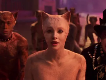 'Cats' 'Cats'