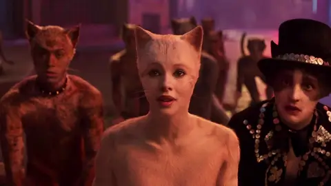 'Cats' 'Cats'
