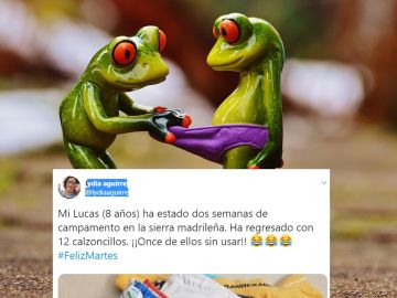 Calzoncillos Calzoncillos