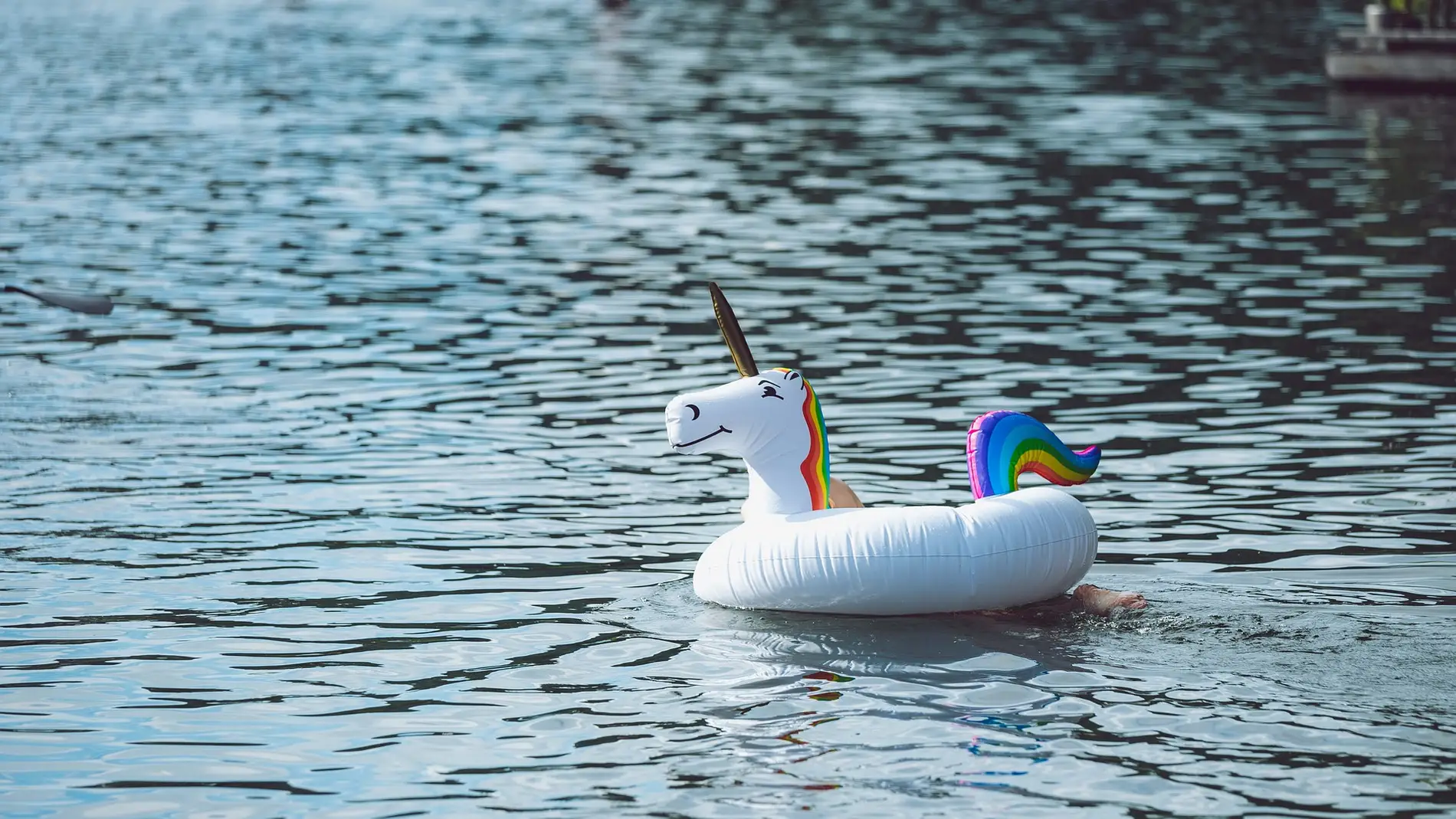 Flotador de unicornio en el mar