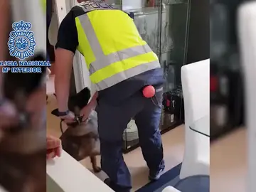 Desarticulado en Madrid un “call center” que estafaba a personas suplantando ficheros de morosidad Desarticulado en Madrid un “call center” que estafaba a personas suplantando ficheros de morosidad