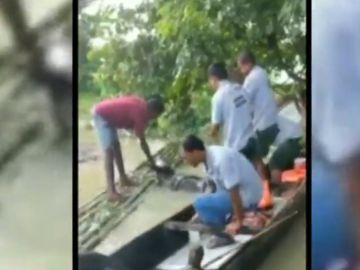 Rescate de una cría de rinoceronte en las inundaciones de India