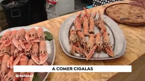 La Fiesta de la Cigala celebra sus bodas de plata en Pontevedra La Fiesta de la Cigala celebra sus bodas de plata en Pontevedra