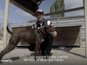 Marc Márquez conoce la historia del perro bautizado con su nombre: "El más rápido del refugio"