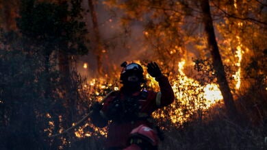 Cerca de 650 bomberos combaten un gran incendio en el centro de Portugal