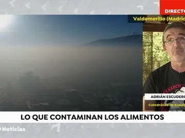 Un experto avisa de que las emisiones de CO2 por comer carne son 12 veces más que si fueran vegetales Un experto avisa de que las emisiones de CO2 por comer carne son 12 veces más que si fueran vegetales
