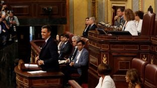 Pedro S&aacute;nchez en el Congreso durante la sesi&oacute;n de investidura