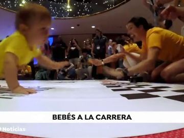 Se celebra en Nueva York una peculiar carrera de bebés gateando