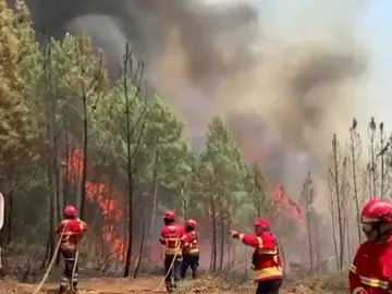 Incendio en Portugal Incendio en Portugal