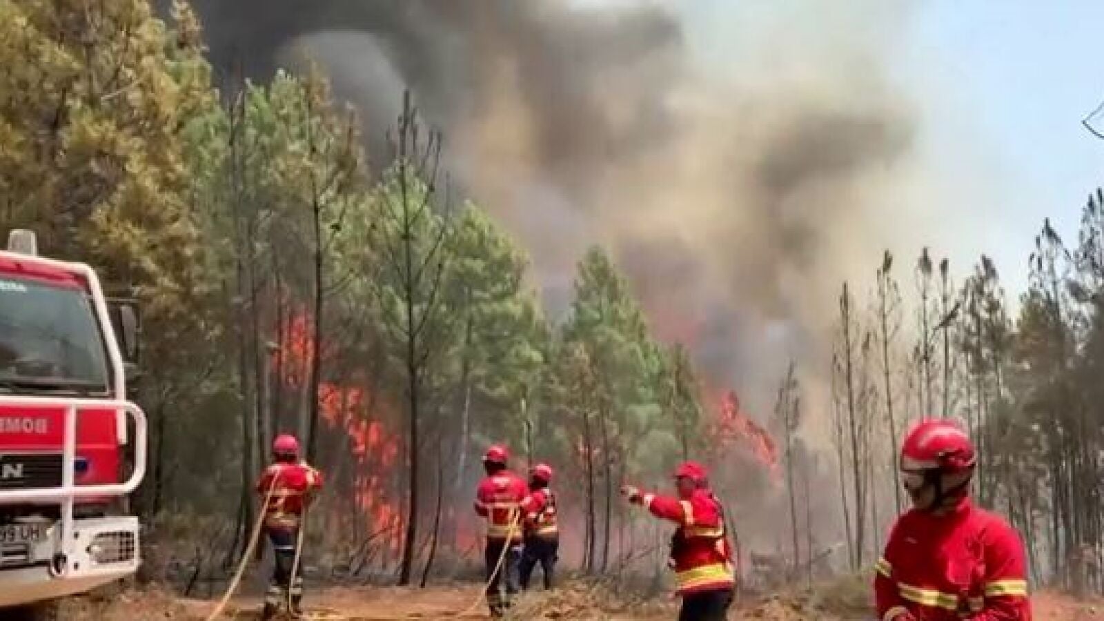 La inteligencia artificial permitirá prevenir y combatir incendios
