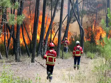 Bomberos combaten un incendio forestal en Casais de Sao Bento Bomberos combaten un incendio forestal en Casais de Sao Bento